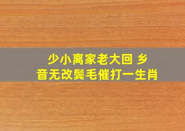 少小离家老大回 乡音无改鬓毛催打一生肖